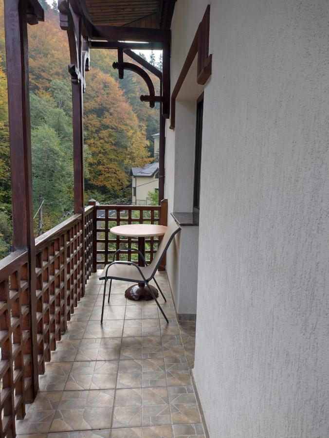 Pensiunea Steinhaus Slănic-Moldova Exteriör bild